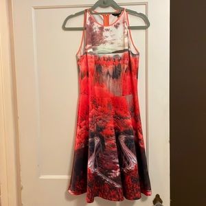 Like new Ted Baker London skater dress. Size 2. Runs a little big.